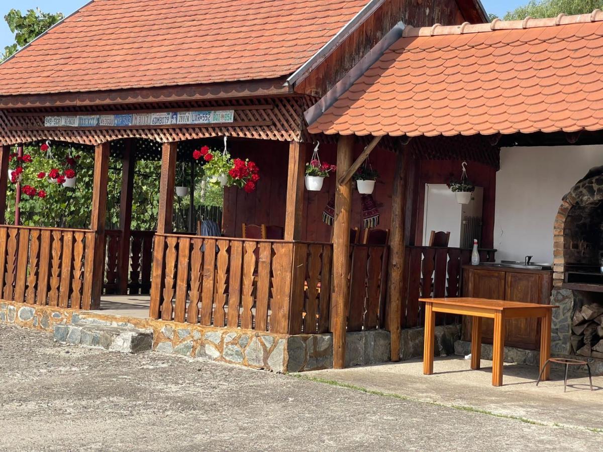 Pensiunea Ducu Scoreiu Exterior foto