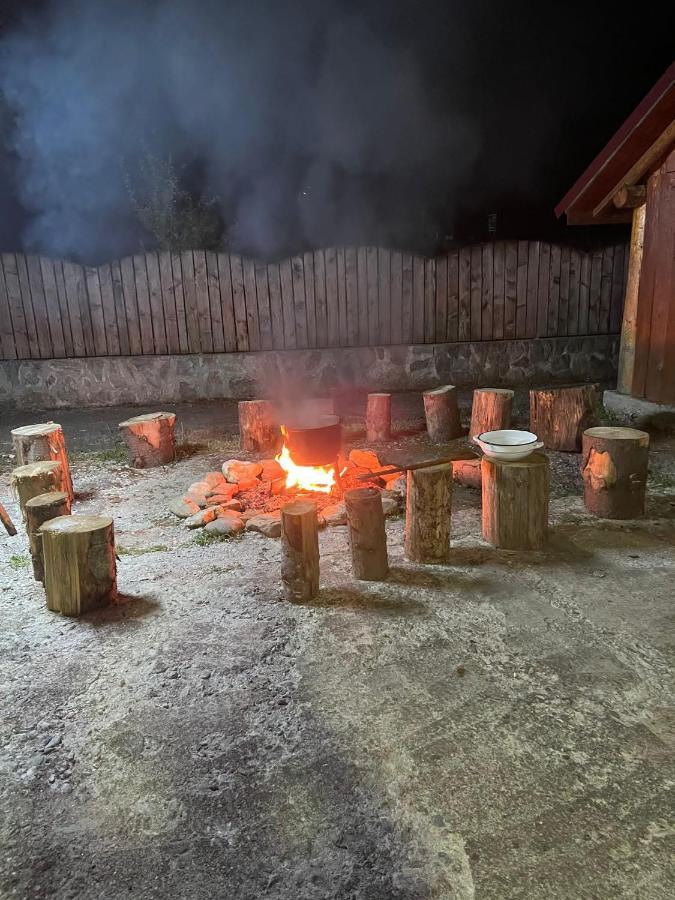 Pensiunea Ducu Scoreiu Exterior foto